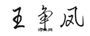 駱恆光王爭鳳行書個性簽名怎么寫