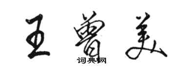 駱恆光王曾美行書個性簽名怎么寫