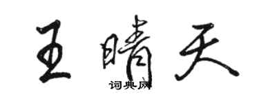 駱恆光王晴天行書個性簽名怎么寫