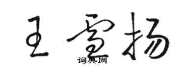 駱恆光王雪揚草書個性簽名怎么寫