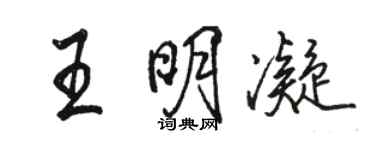 駱恆光王明凝行書個性簽名怎么寫