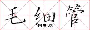 黃華生毛細管楷書怎么寫