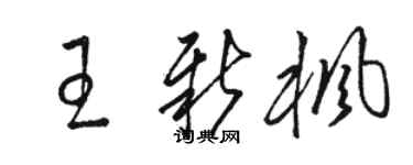駱恆光王新楓草書個性簽名怎么寫
