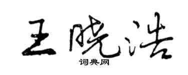 曾慶福王曉浩行書個性簽名怎么寫