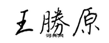 王正良王勝原行書個性簽名怎么寫