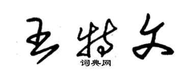 朱錫榮王特文草書個性簽名怎么寫