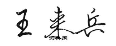 駱恆光王來兵行書個性簽名怎么寫