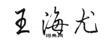 駱恆光王海尤行書個性簽名怎么寫