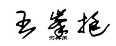 朱錫榮王峰挺草書個性簽名怎么寫