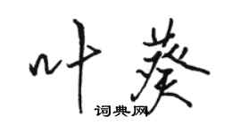 駱恆光葉葵行書個性簽名怎么寫