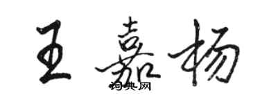 駱恆光王嘉楊行書個性簽名怎么寫