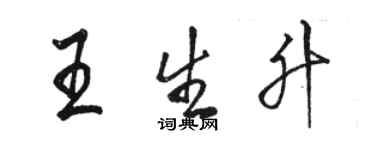 駱恆光王生升行書個性簽名怎么寫