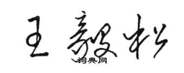 駱恆光王毅松草書個性簽名怎么寫