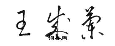 駱恆光王成蘭草書個性簽名怎么寫