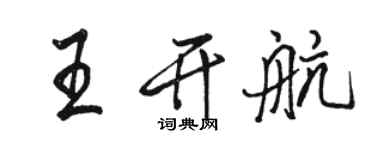 駱恆光王開航行書個性簽名怎么寫