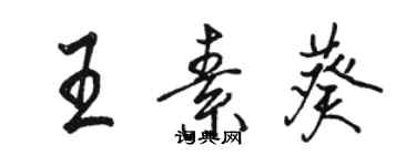 駱恆光王素葵行書個性簽名怎么寫