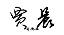 朱錫榮賈晨草書個性簽名怎么寫