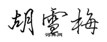 駱恆光胡雪梅行書個性簽名怎么寫