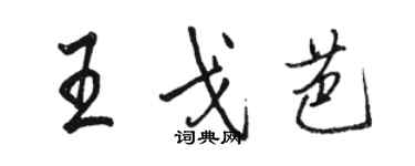 駱恆光王戈芭行書個性簽名怎么寫