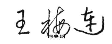 駱恆光王梅連草書個性簽名怎么寫