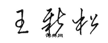 駱恆光王新松草書個性簽名怎么寫