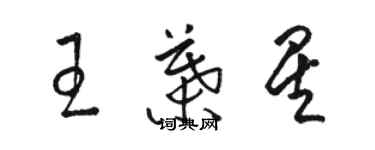 駱恆光王葉星草書個性簽名怎么寫