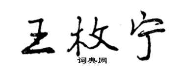 曾慶福王枚寧行書個性簽名怎么寫