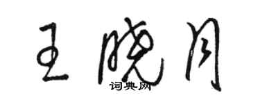 駱恆光王曉月草書個性簽名怎么寫