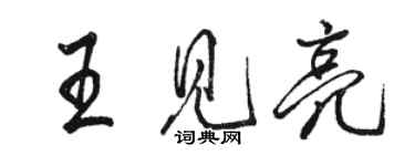 駱恆光王見亮行書個性簽名怎么寫