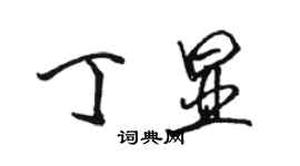 駱恆光丁顯行書個性簽名怎么寫