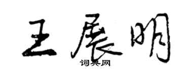 曾慶福王展明行書個性簽名怎么寫