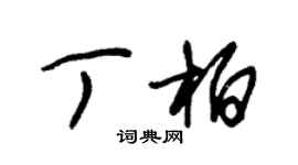 朱錫榮丁柏草書個性簽名怎么寫