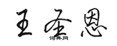 駱恆光王聖恩行書個性簽名怎么寫