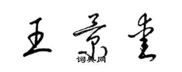 梁錦英王景愛草書個性簽名怎么寫