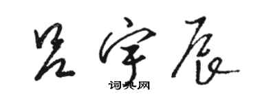 駱恆光呂宇辰草書個性簽名怎么寫