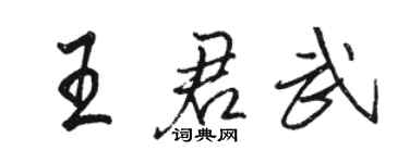 駱恆光王君武行書個性簽名怎么寫