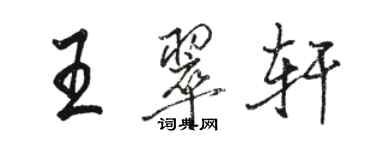 駱恆光王翠軒行書個性簽名怎么寫