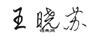 駱恆光王曉蘇行書個性簽名怎么寫