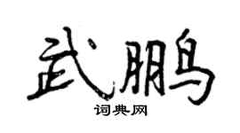 曾慶福武鵬行書個性簽名怎么寫