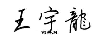 王正良王宇龍行書個性簽名怎么寫