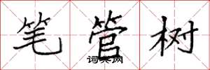 袁強筆管樹楷書怎么寫