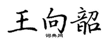 丁謙王向韶楷書個性簽名怎么寫