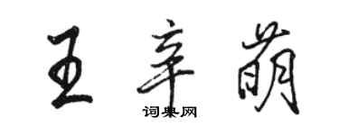 駱恆光王辛萌行書個性簽名怎么寫