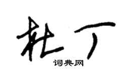 朱錫榮杜丁草書個性簽名怎么寫