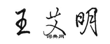 駱恆光王艾明行書個性簽名怎么寫