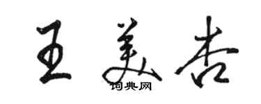 駱恆光王美杏行書個性簽名怎么寫