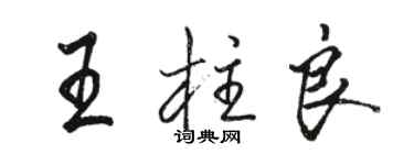 駱恆光王柱良行書個性簽名怎么寫