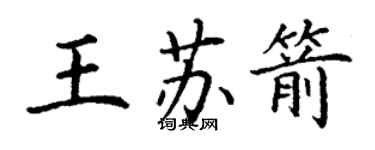 丁謙王蘇箭楷書個性簽名怎么寫