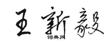 駱恆光王新毅行書個性簽名怎么寫