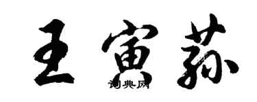 胡問遂王寅蓀行書個性簽名怎么寫